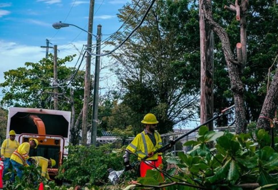 Los municipios deben tener voz en la transformación energética